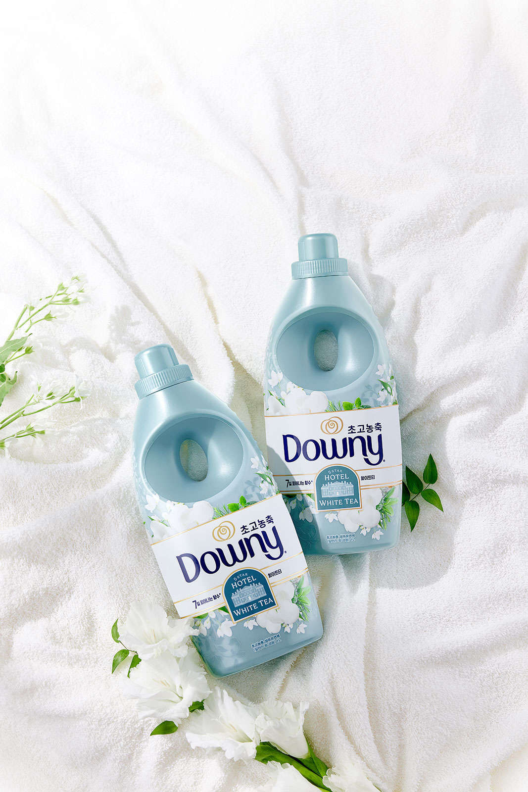 250617_Downy_5683.jpg