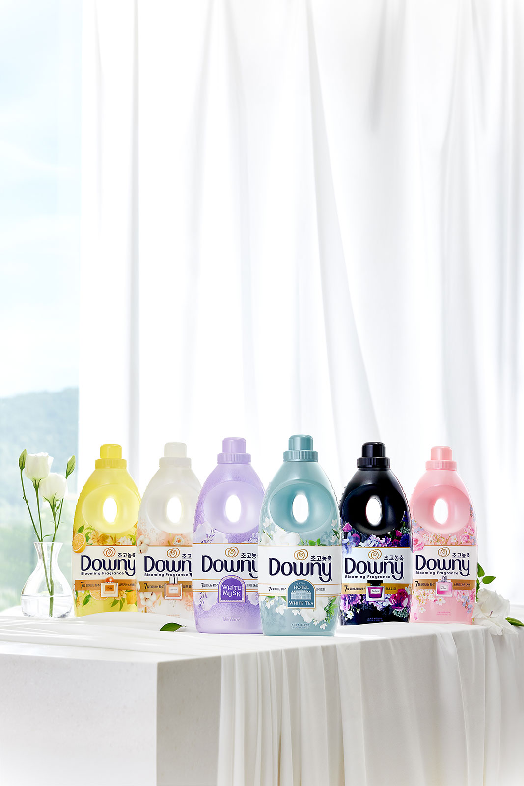 250617_Downy_5319_수정1.jpg