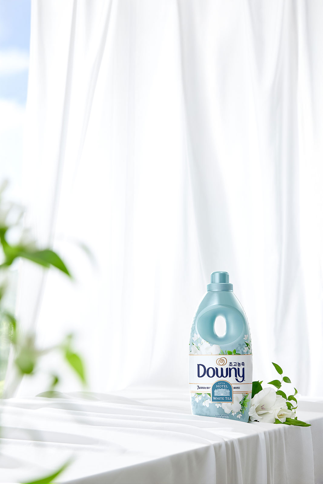 250617_Downy_5526.jpg