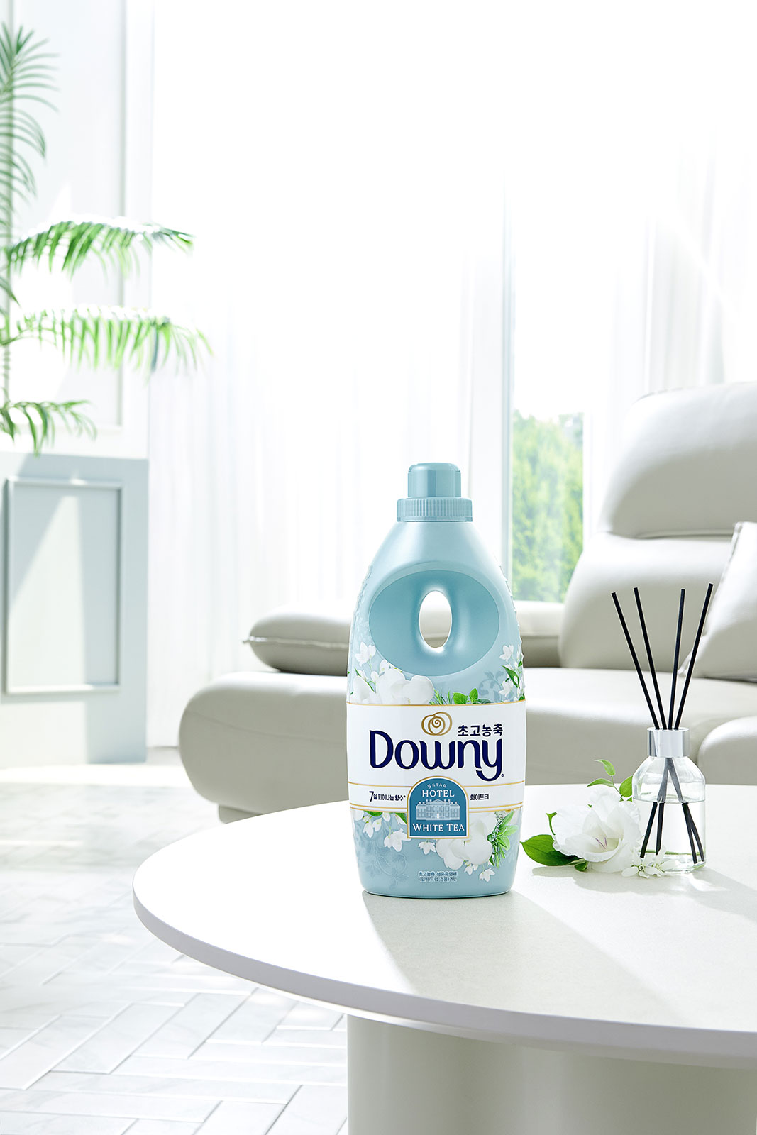 250617_Downy_5270.jpg