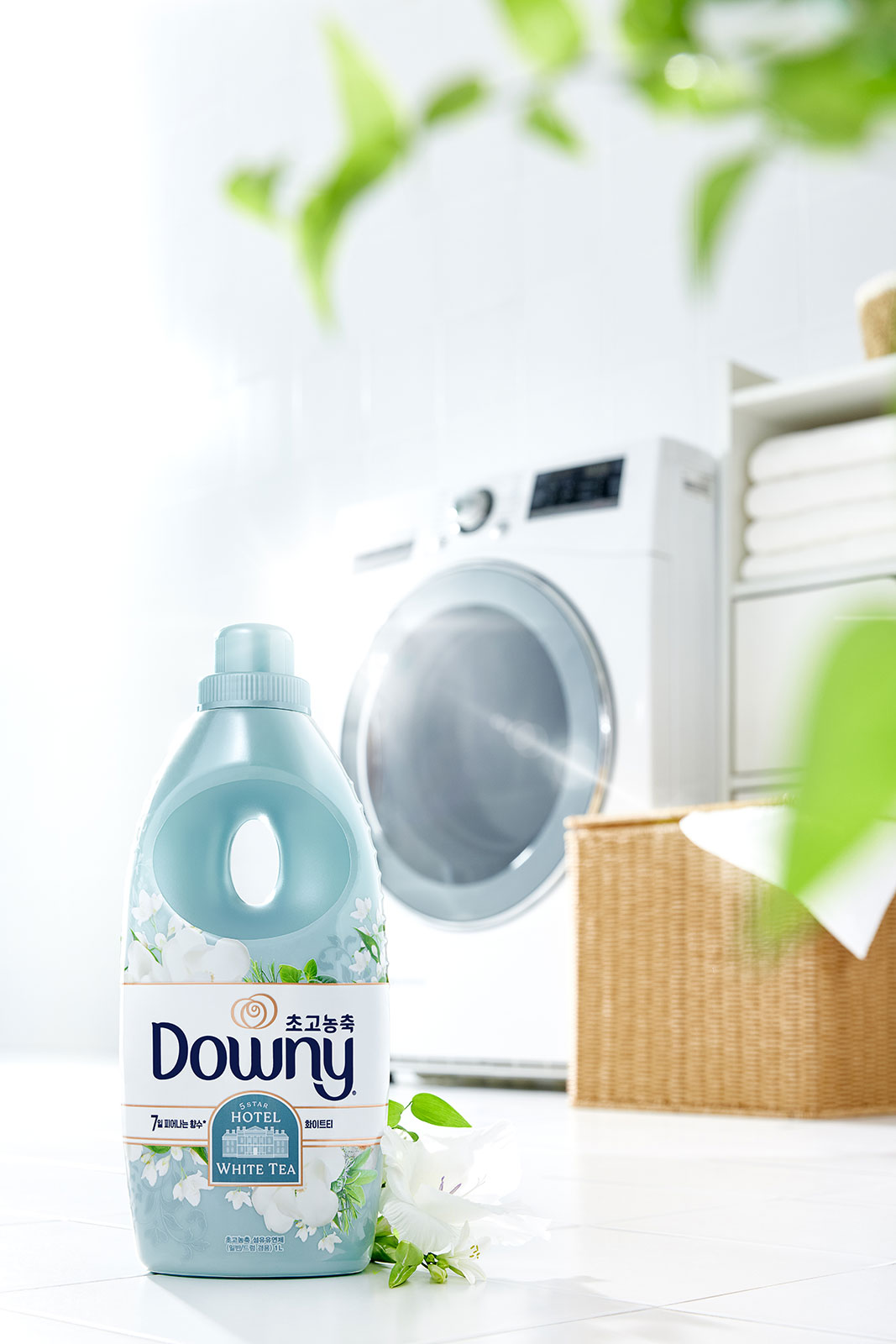 250617_Downy_5635.jpg